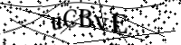 Por favor, introduce las siguientes letras y números