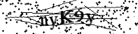 Por favor, introduce las siguientes letras y números